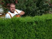 Gartenpflege